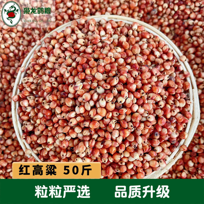 枭龙鸽粮红高粱沪粮50斤浙江澳皖包邮