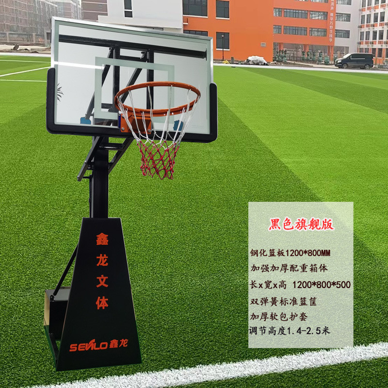 标准球架青少年儿童学校休闲可移动篮球架户外家用可扣篮篮框