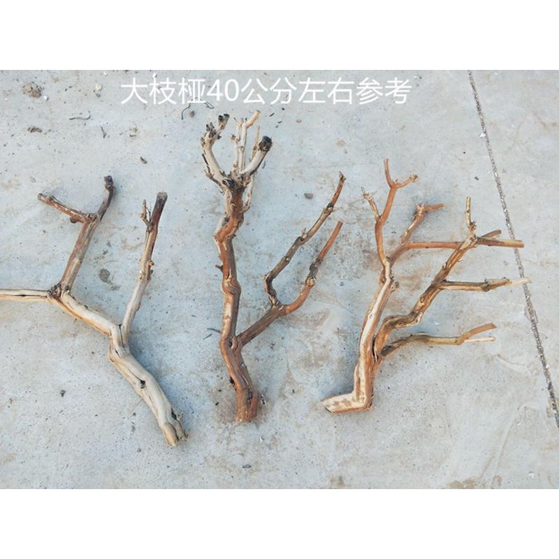 p616去皮造型树枝装饰树干枝枯树杆龙骨造景树玄关屏风摆件霸王歪