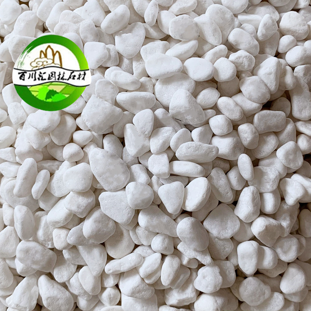 现货白色小石子白石植物盆栽机制鹅卵石多肉米装饰石水洗石胶粘石
