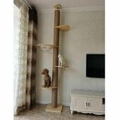 猫爬架通天柱豪华实木柱家具猫跳台猫树顶天立地猫抓猫架松木 包邮