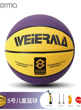 篮球儿童logo4567号幼儿园中小学生专用训蓝成人室内外练操做