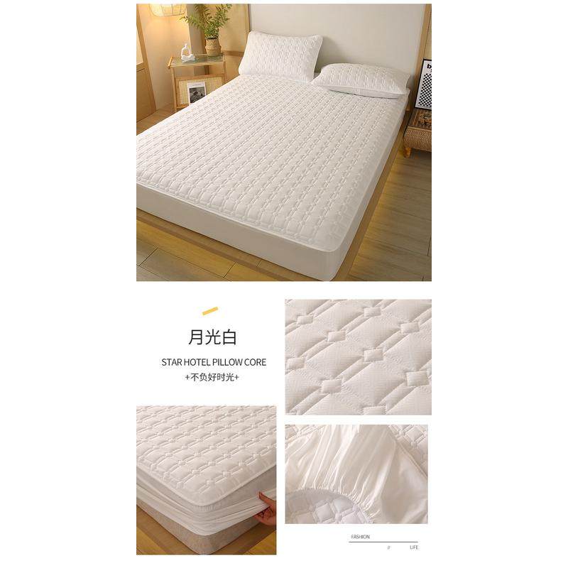 m2o8薄棕垫床罩乳胶垫5/10cm床垫套床笠单件加厚夹棉席梦思保