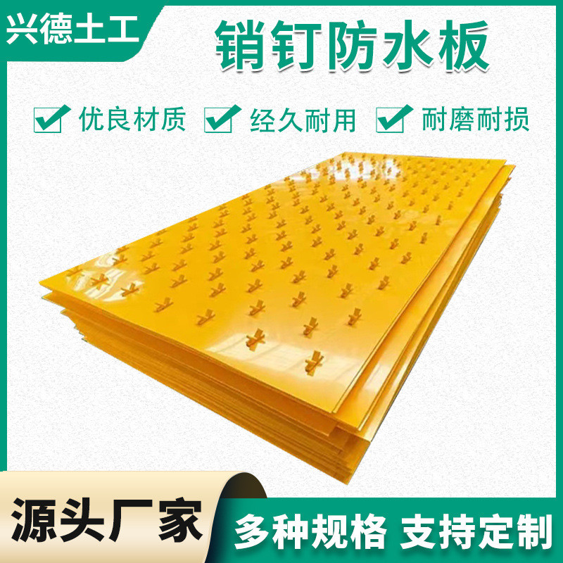 厂家供应销钉防水板hdpe聚乙烯加固板建筑施工防水销钉防水板