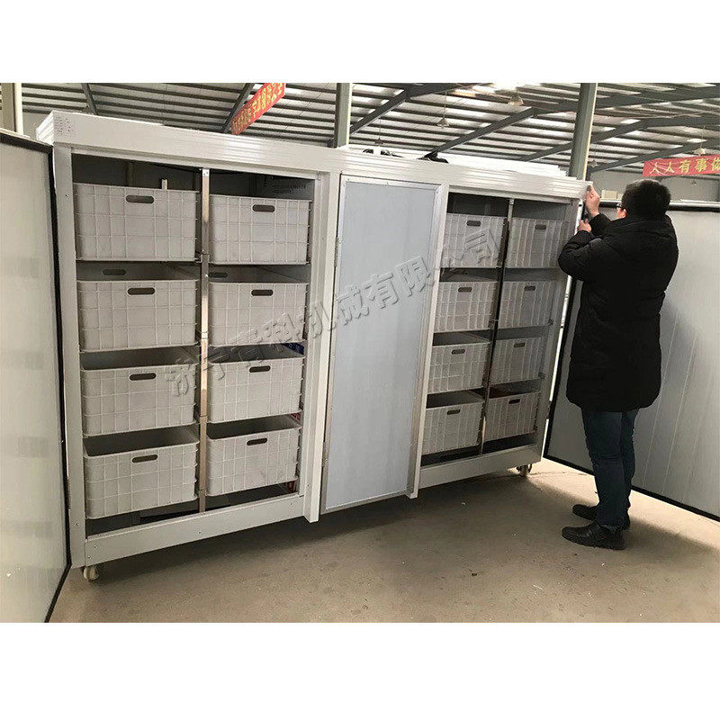 食品厂豆芽菜发芽机恒温恒湿250公斤豆芽机芽苗菜绿豆芽催芽机
