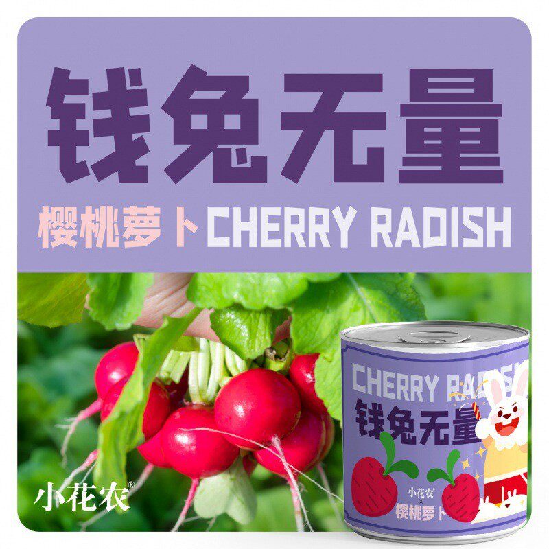 网红款祝福盆栽绿植厂家批发小种植花农摆件幼儿园小学种植盆栽