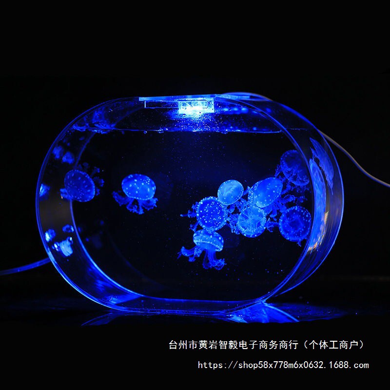 创业摆地摊专用缸养水母全套智能循环水母缸摆摊养殖缸网红灯樱桃