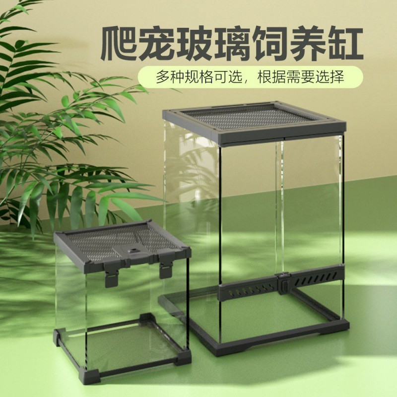 玻璃缸爬宠饲养箱蜥蜴树蛙守宫仓鼠爬虫生态雨林缸爬缸角蛙防逃缸
