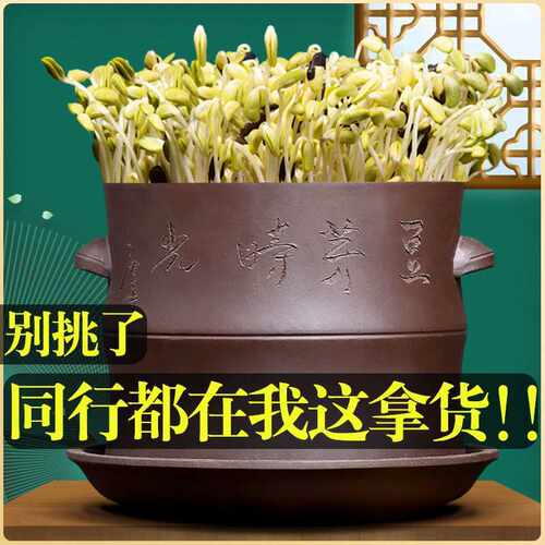 豆芽时光紫砂豆芽家用发豆芽机罐培育器发芽盆大容量豆牙生盆