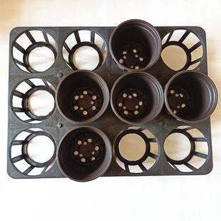 育苗托盘花场蝴蝶兰专用育苗盘多规格直批中转盘蝴蝶兰托盘加厚