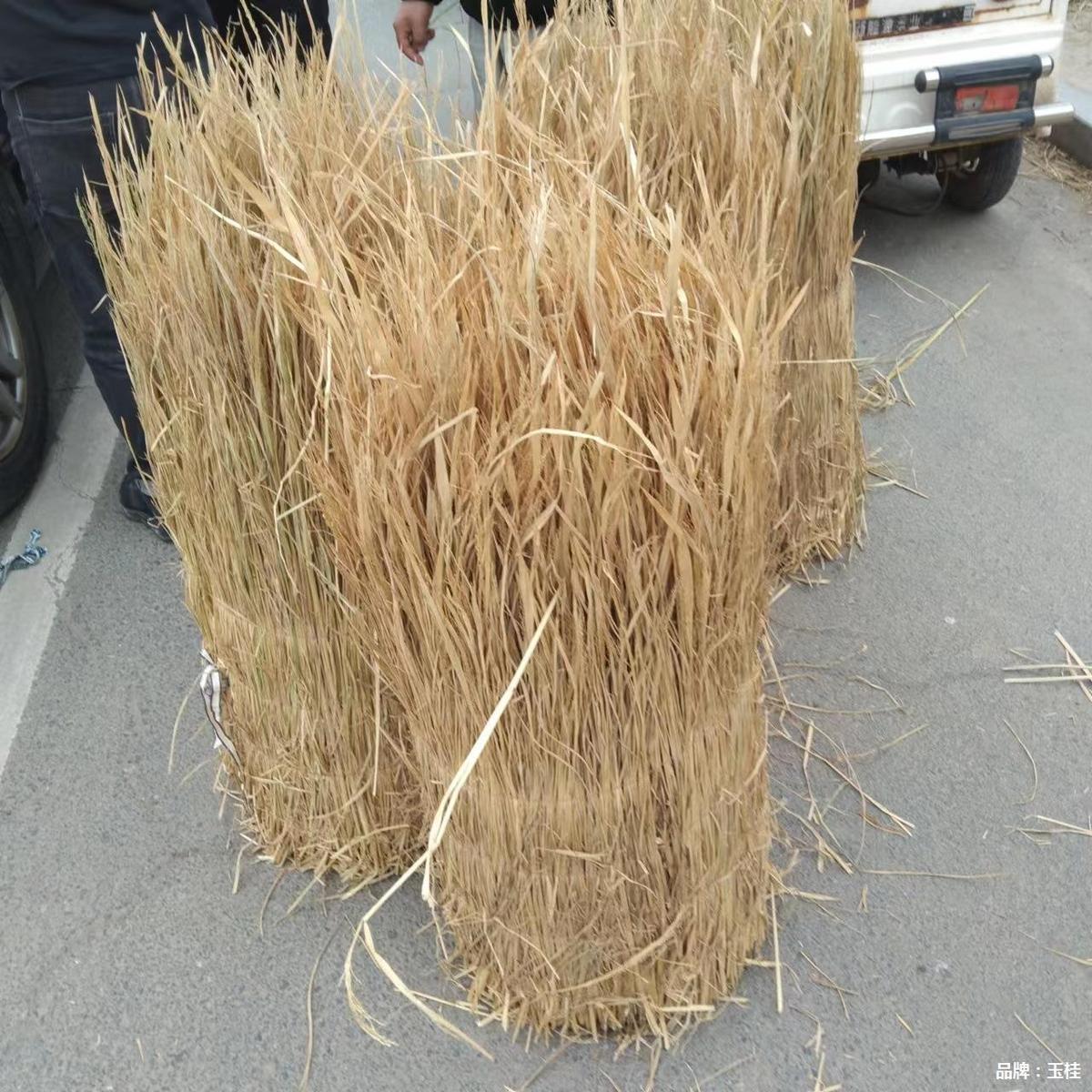 稻草绿化草帘冬季温室草苫子草垛草堆大棚遮阳草帘芦苇帘子