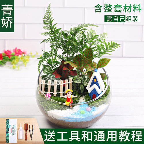 15cm切口物微景观diy材料包创意玻璃球生态瓶子摆件礼品苔藓套装