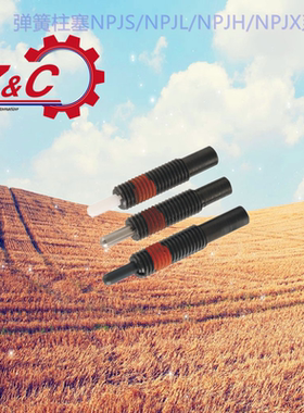 ZAP15-M3/M4/M5/M6M8-H1.5/H2/H3/H4/H5/H10定位柱 弹簧柱塞ZAP16