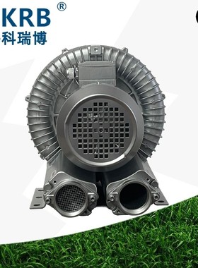 热销2rb510h362.2kw家纺织品抽真空打包千瓦2.2鼓风机打包真空泵