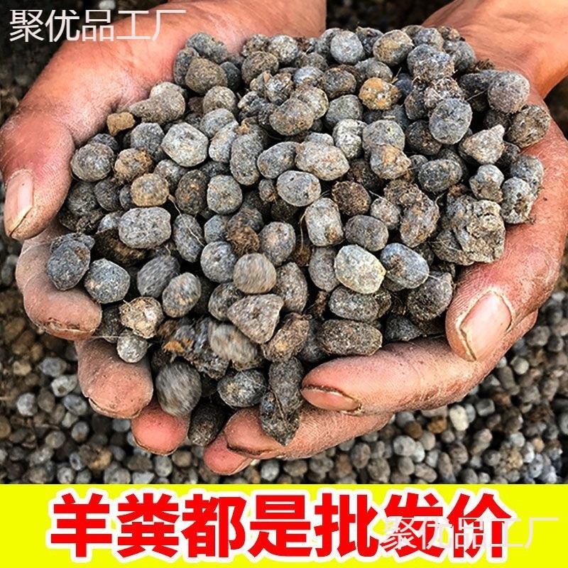 100斤羊粪纯有机肥料羊粪蛋发酵发酵羊粪颗粒羊粪批发营养土基质