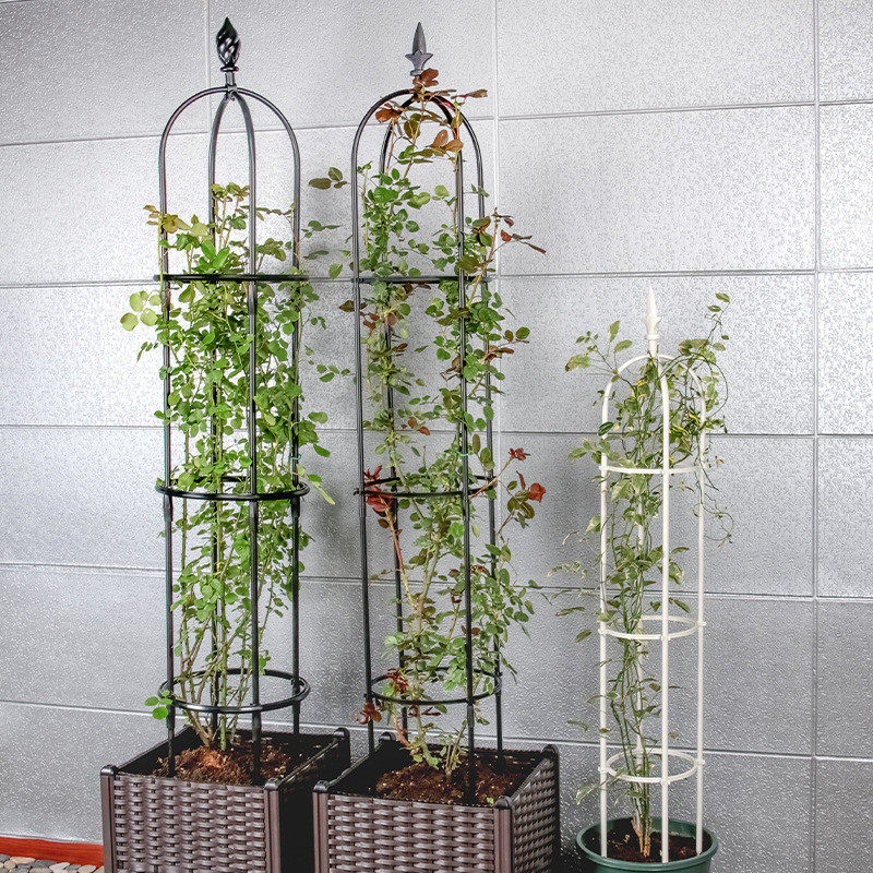 阳台花架爬藤架子花庭院月季花架户外支架葡萄架玫瑰花架花盆支架