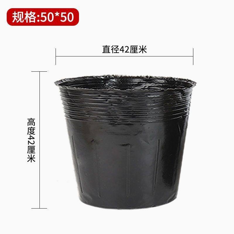 营养杯育苗杯一次性黑色营养袋育苗袋塑料播种植大号育苗盆营养钵,鲜花速递/花卉仿真/绿植园艺,花盆,淘宝优惠券,粉丝福利购,淘宝优惠卷