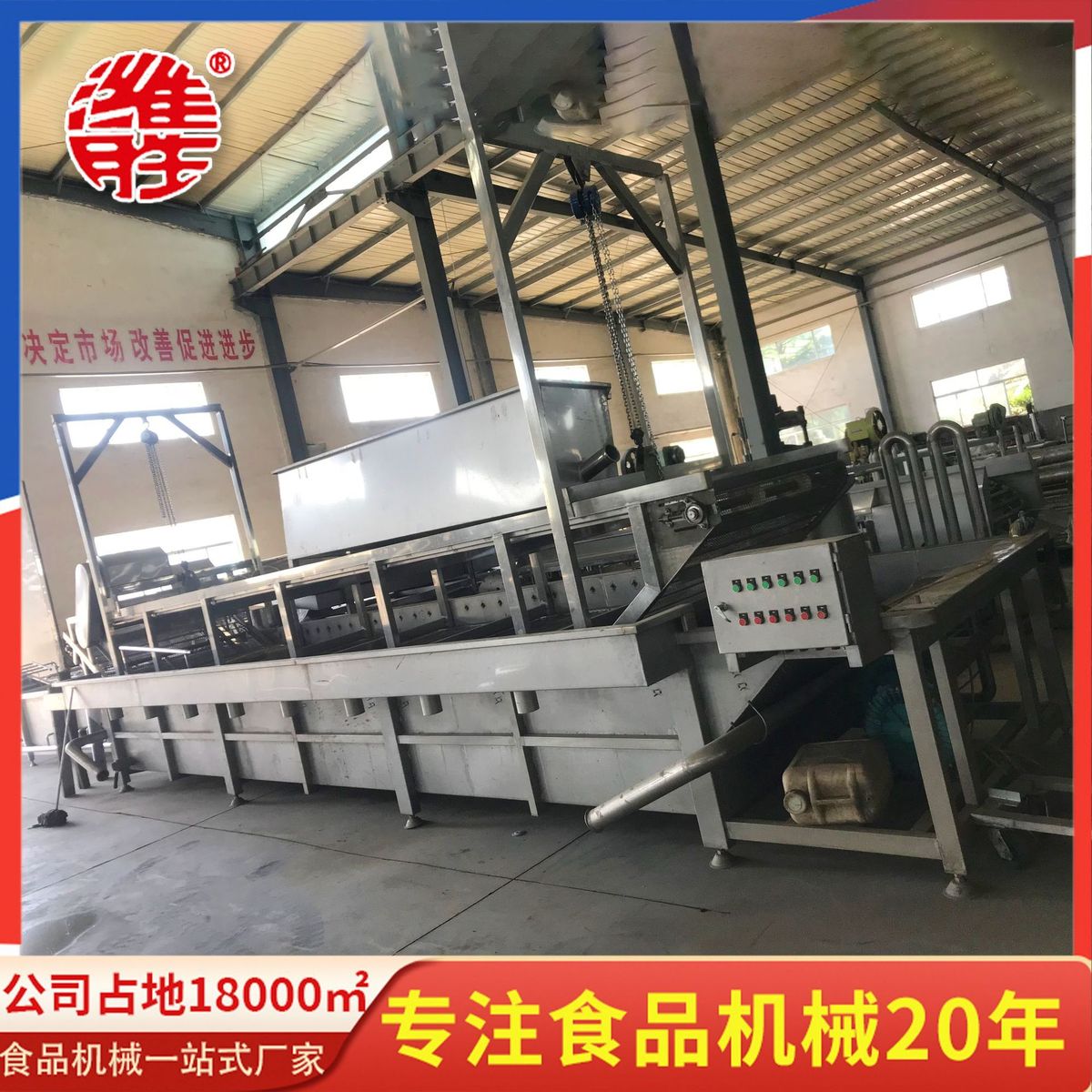 热销不锈钢双层菠菜果蔬清洗机小油菜清洗除杂设备自动化气泡清洗