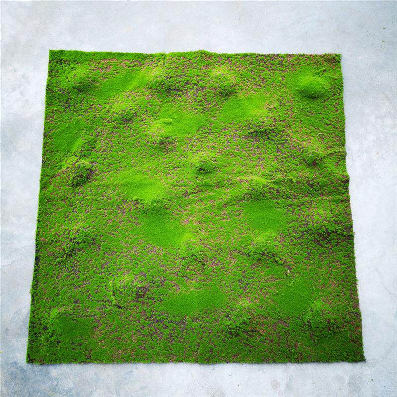 仿真草皮植物墙仿真苔藓盆景青苔微景观假造景装饰材料草坪草皮