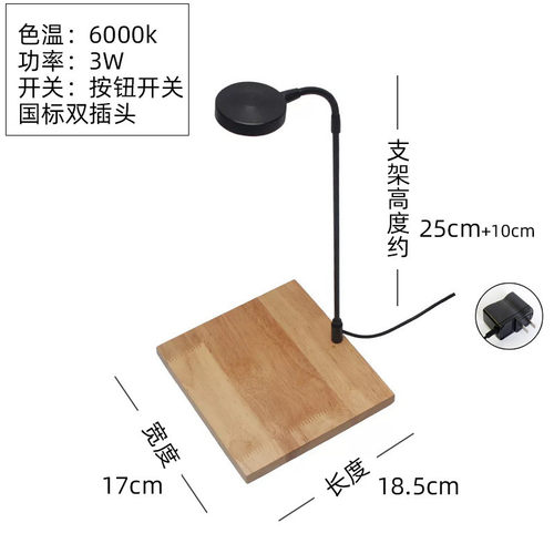 鱼缸海底微景观免换水自循环小鱼缸家用桌面微景观世界水培植物