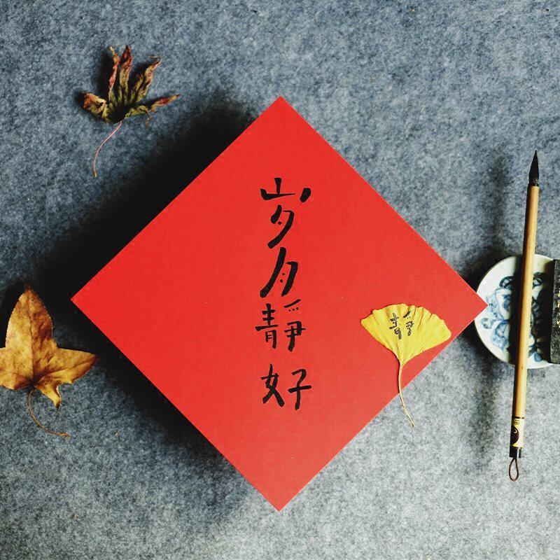 w*小对联2025龙年斗正方形贴定创意春联福字年年有鱼可新年手写