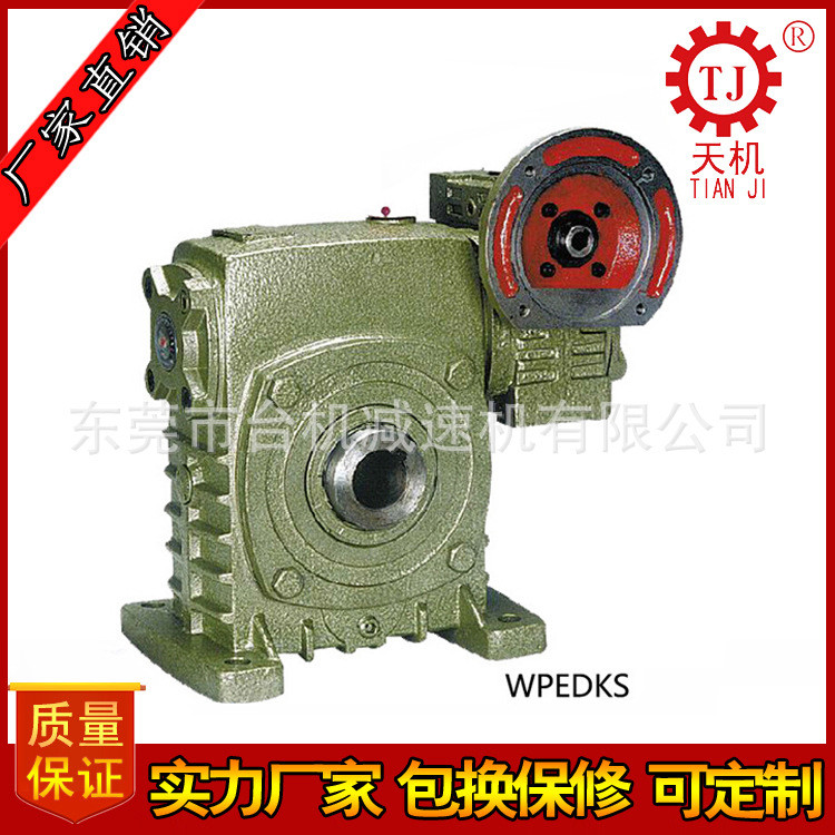 WPEDKS60-100减速机 方箱蜗轮蜗杆减速机 台湾CHENTA减速机