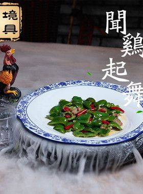 酒店餐具特色餐饮具菜饭店农家乐新品创意意境盘子餐盘干冰餐具
