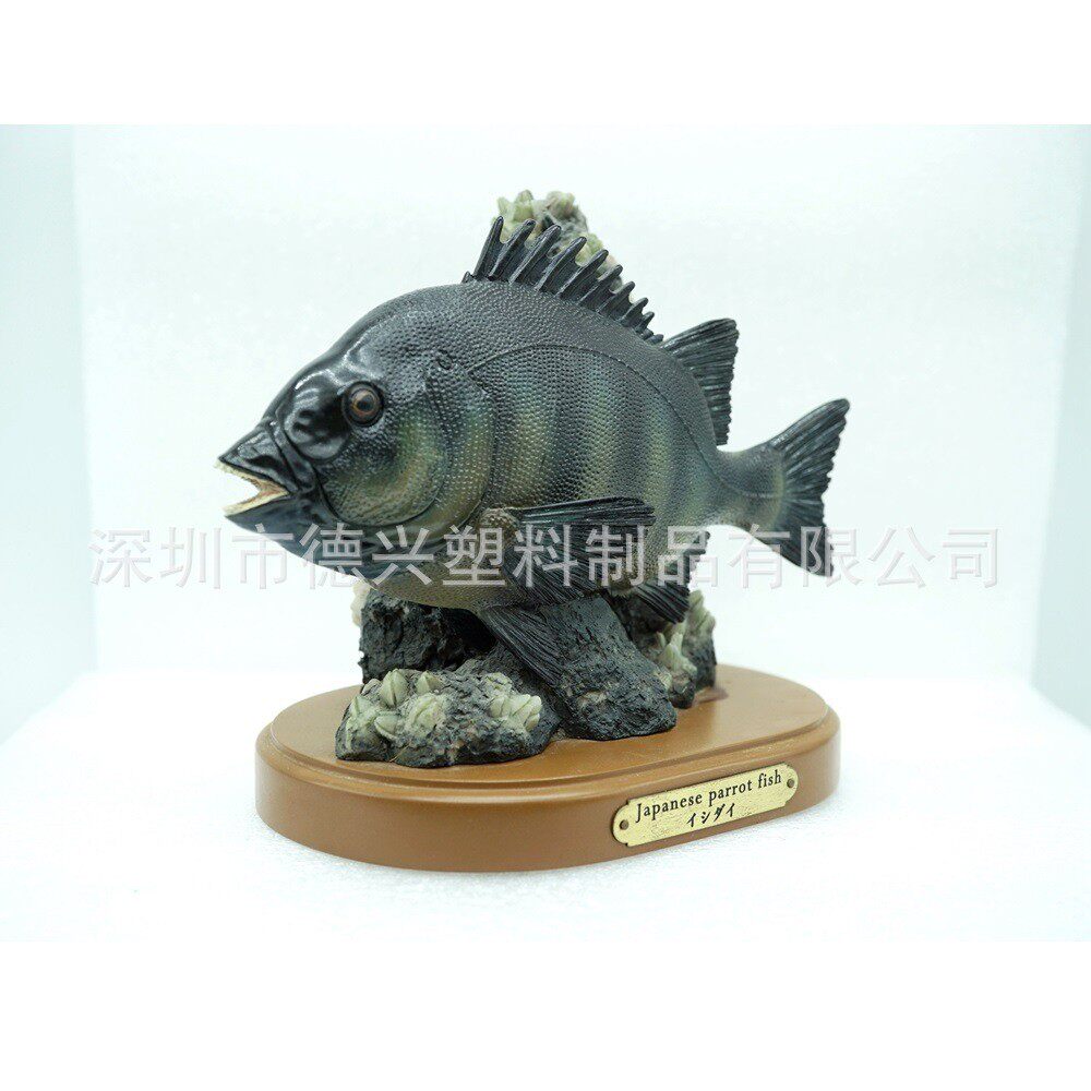 热销跨境仿真收藏品树脂鱼类摆件模型海洋生物桌面装饰条石鲷鱼