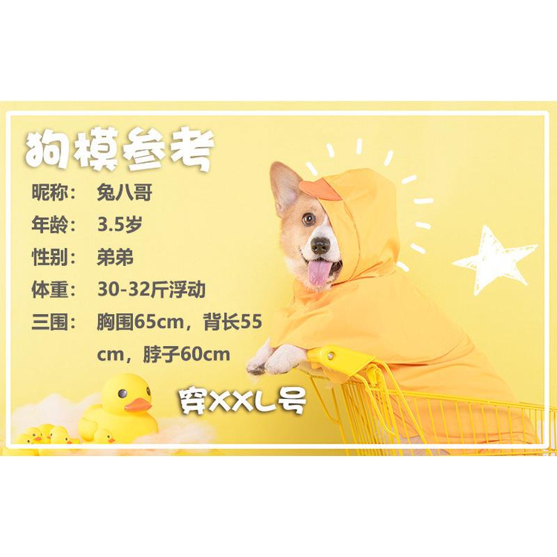 拉布拉多中型犬大中物耶哈腊肠风雪纳瑞雨披四脚狗狗雨衣衣服