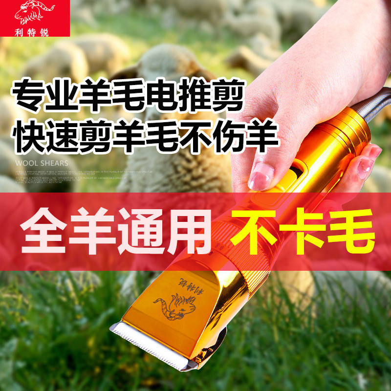 36v大功率电动羊毛剪绒山羊推剪泰迪宠物剃毛器狗狗绵羊宠物