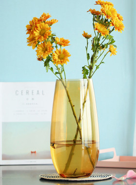 北透明水养富贵竹百合花瓶摆件客厅插花干花玻璃花瓶欧式家用