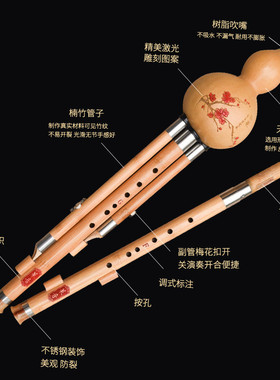 双调葫芦丝楠竹乐器不易裂演奏自初学f+g降b+音准c调好配盒子挂件