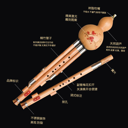 双调葫芦丝楠竹不易乐器裂演奏自初学f+g降b+c调音准好配盒子挂件