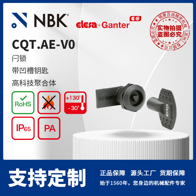 NBK ELESA CQT.AE-V0 闩锁带凹槽钥匙 高科技聚合体 机械配件