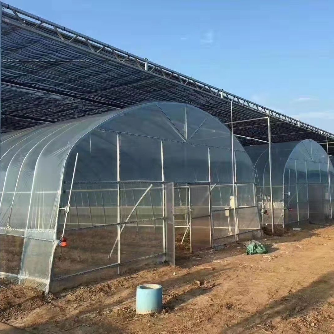 新型智能温室大棚暖棚大棚骨架钢管全套农业塑料大棚菜棚