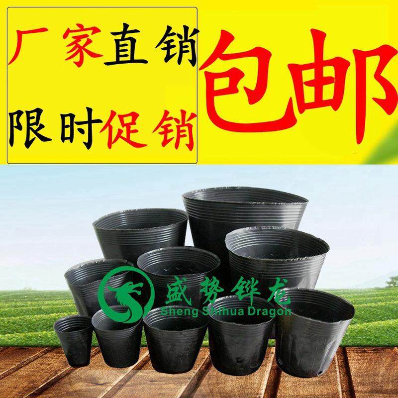 厂家直销加厚塑料营养杯营养营养钵袋育苗盆育苗杯育苗袋批发