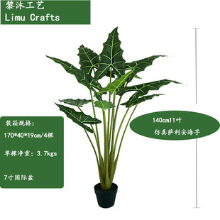 北欧海芋款热销仿真萨利安爆绿植盆栽黑白犀牛大仙女海芋布景