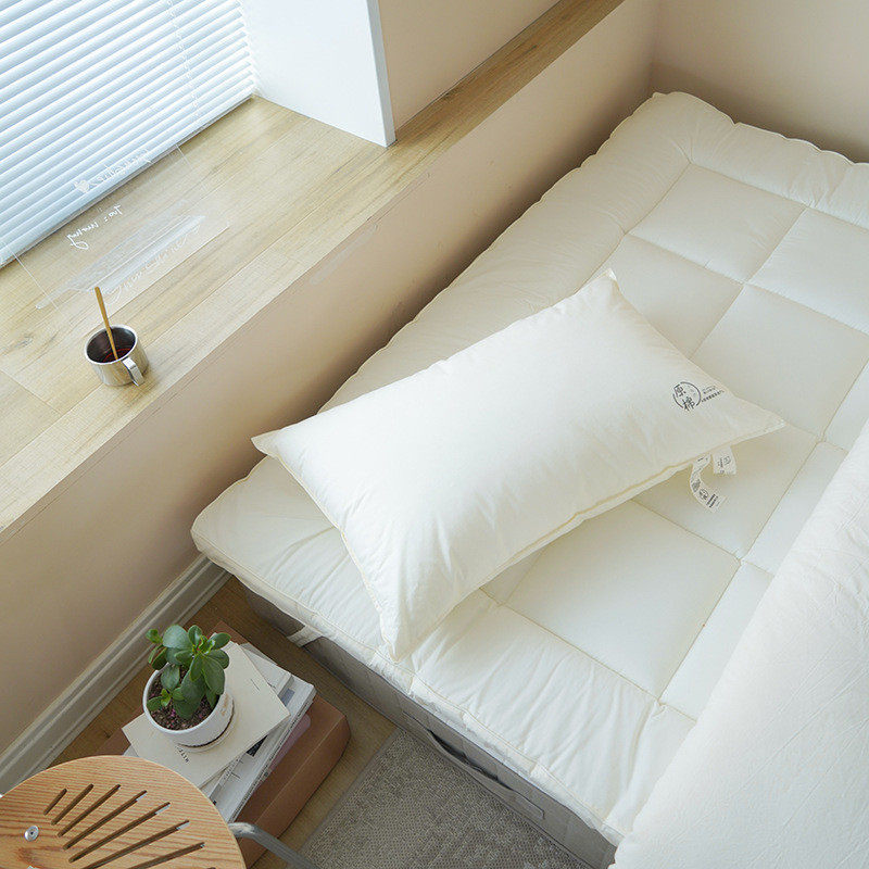 新款原棉枕芯 双压线酒店枕芯全棉大豆蛋白枕头单人宿舍枕,床上用品,枕头/枕芯,淘宝优惠券,粉丝福利购,淘宝优惠卷