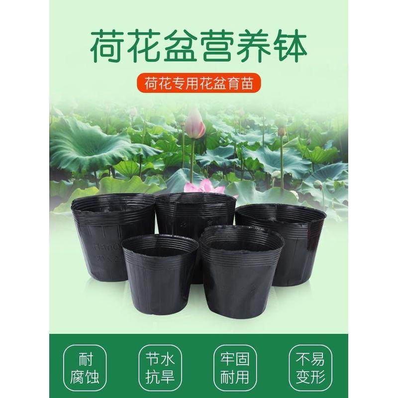 无孔营养钵加厚不漏水睡莲荷花莲花盆碗莲育苗盆水生植物水盆水盒,农机/农具/农膜,播种栽苗器/地膜机,淘宝优惠券,粉丝福利购,淘宝优惠卷