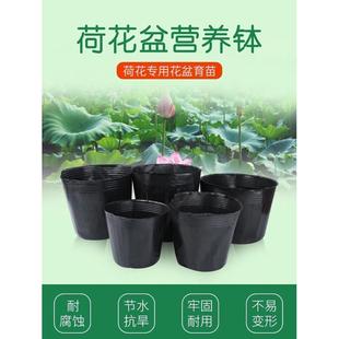 无孔营养钵加厚不漏水睡莲荷花莲花盆碗莲育苗盆水生植物水盆水盒