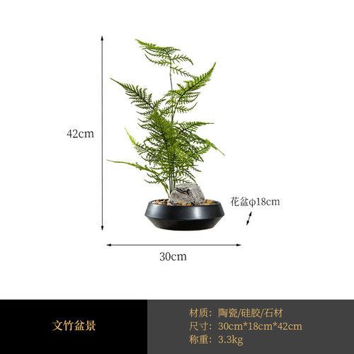 艺贝子植物盆栽仿真文竹新中式微景观造景书房茶艺案头绿植摆件