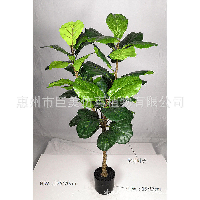 工厂直销仿真琴叶榕圆葫橡胶树琴叶橡皮树餐厅装饰假树叶芦叶来图