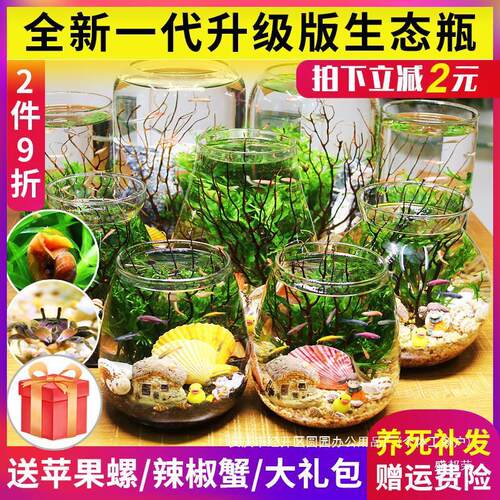创意微景观水族鱼换水面鱼缸办公桌观赏免生态瓶免造景打理盛