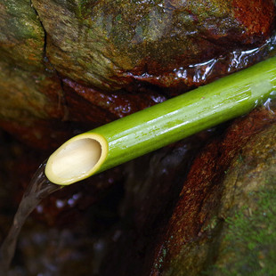 空心竹筒斜切庭院流水 装饰插花 引水管道天然竹管空心竹筒竹子竿