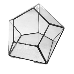 16061a包邮!工厂直销玻璃玻璃花房多肉玻璃花房微景观几何小花房