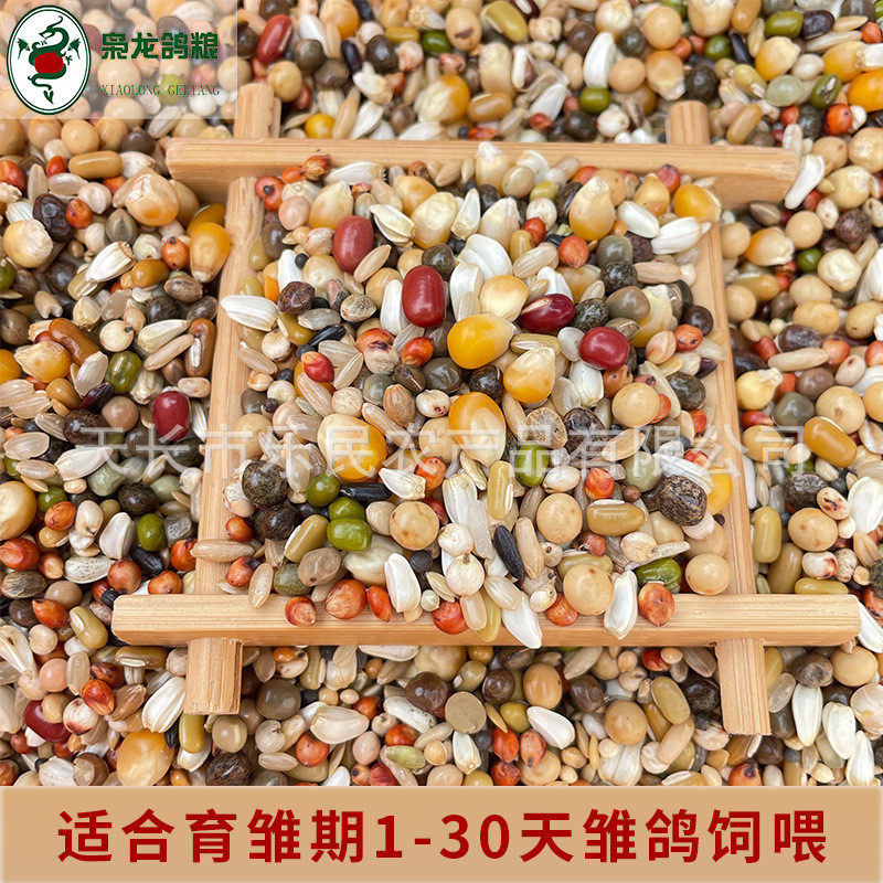 枭龙鸽粮jipin育雏50斤喷窝小颗粒饲料营养赛鸽信鸽鸽子食