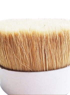 厂家白色水煮猪鬃刷50～90分原漂白57mm动物毛鬃发梳用切鬃刷猪毛