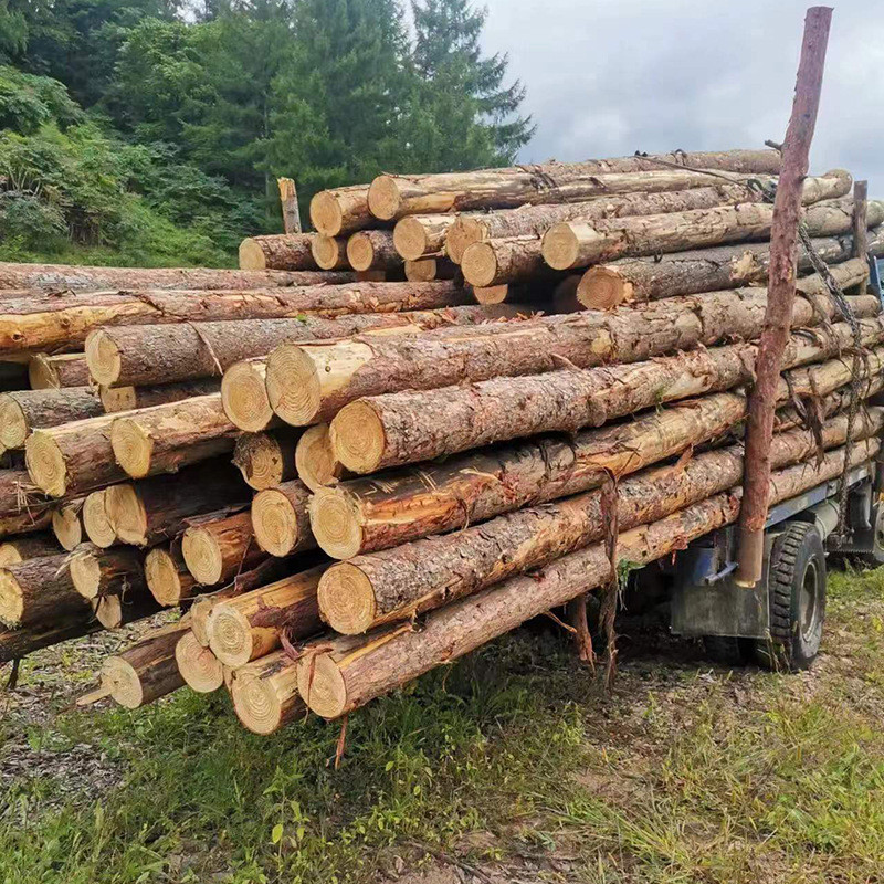 建筑东北落叶松打桩木工程工地用松木批发河道可用松木桩打桩批发