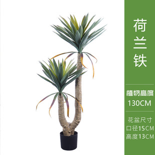仿生植物剑麻树假北欧风家居仿真绿植剑兰落地装饰盆栽荷兰铁树