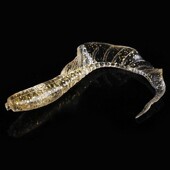 路亚软饵裙带软虫6cm7cm8cm假饵卷尾蛆虫公斤装